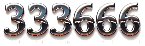 333666 logo